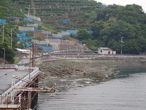 陸上山側駐車場