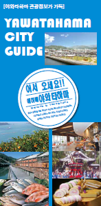 한국어 버전