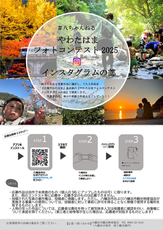 地方自治体によるインスタグラム広告の観光プロモーション事例
