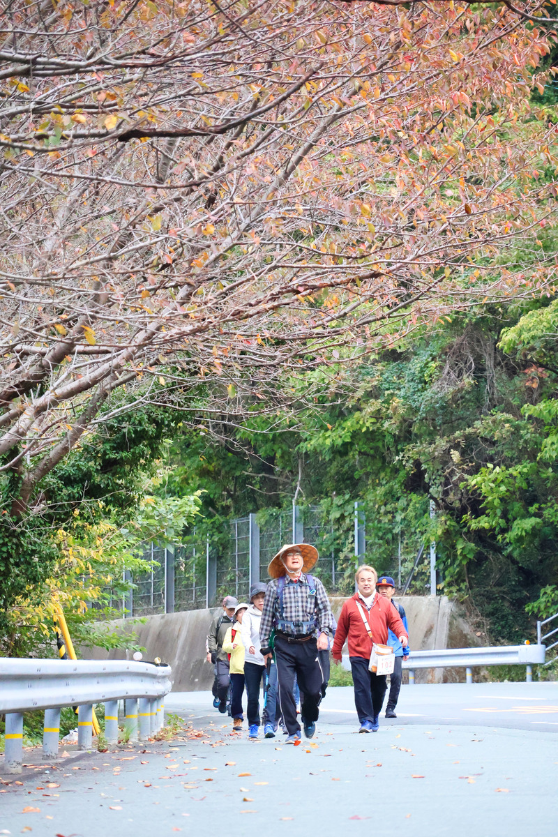 二宮敬作ウォーク